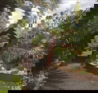 Roraima Nursery and Cafe - Accommodation Port Macquarie