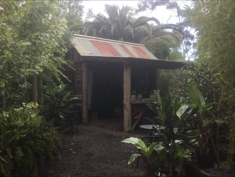 Roraima Nursery And Cafe - Accommodation Port Macquarie 1