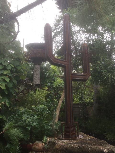 Roraima Nursery And Cafe - Accommodation Port Macquarie 2