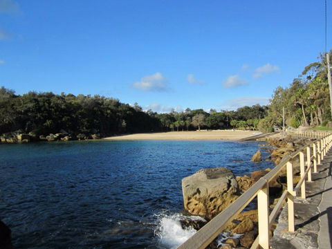 Shelly Beach: Manly - Accommodation Port Macquarie 0