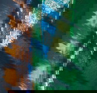 South Coast Experiences - Accommodation Port Macquarie