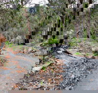 Stepping Stone Crossing to Cascades Trail - Accommodation Port Macquarie