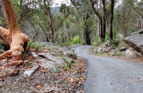 Stepping Stone Crossing To Cascades Trail - Accommodation Port Macquarie 0