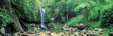 Tamborine National Park - Accommodation Port Macquarie 0