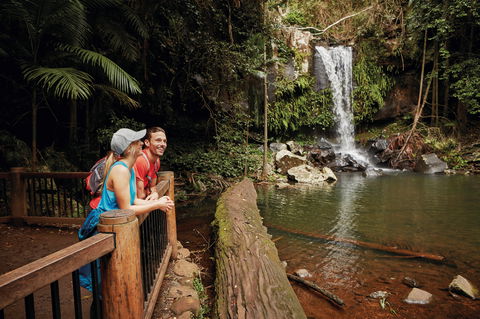 Tamborine National Park - Accommodation Port Macquarie 1