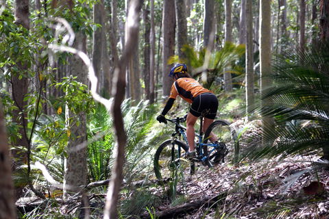 Tathra Beach - Accommodation Port Macquarie 1