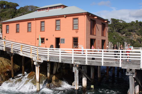 Tathra Beach - Accommodation Port Macquarie 2