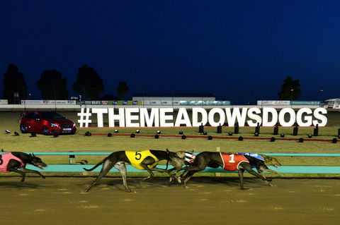 The Meadows - Accommodation Port Macquarie 0
