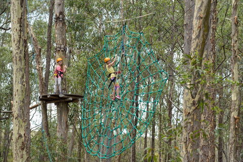 TreeTops Newcastle - Accommodation Port Macquarie 0