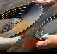 Tuena Panning for Gold - Accommodation Port Macquarie