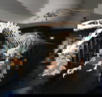 UNE Natural History Museum - Accommodation Port Macquarie