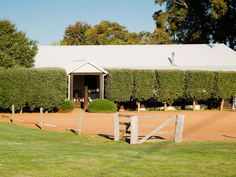 Vasse Virgin - Accommodation Port Macquarie 1