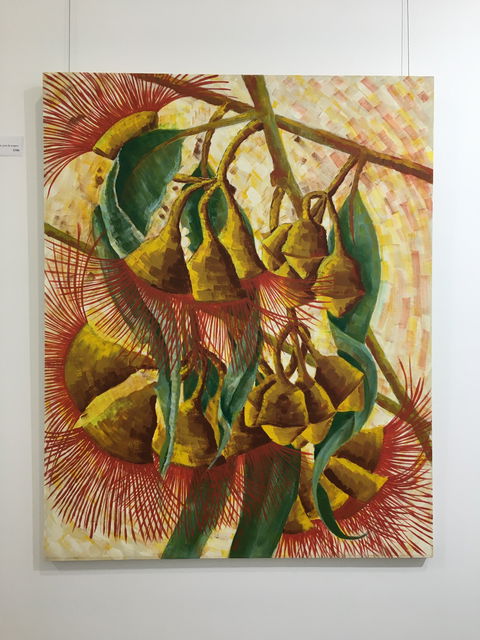Wacky Bird Gallery - Accommodation Port Macquarie 1