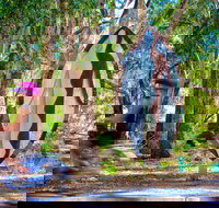 Wagirra Trail and Yindyamarra Sculpture Walk - Accommodation Port Macquarie