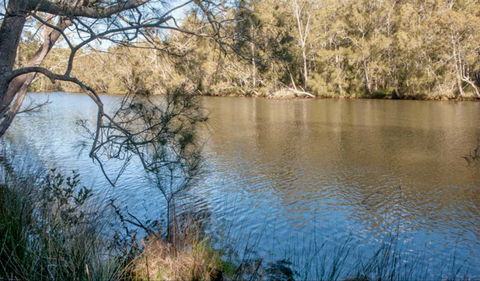 Wandandian Creek Picnic Area - Accommodation Port Macquarie 0