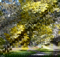 Wattle Park - Accommodation Port Macquarie