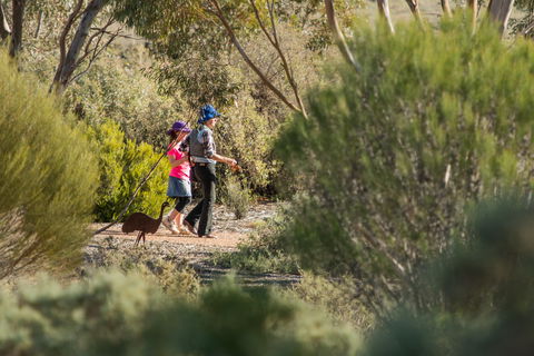 Australian Arid Lands Botanic Garden - Accommodation Port Macquarie 0