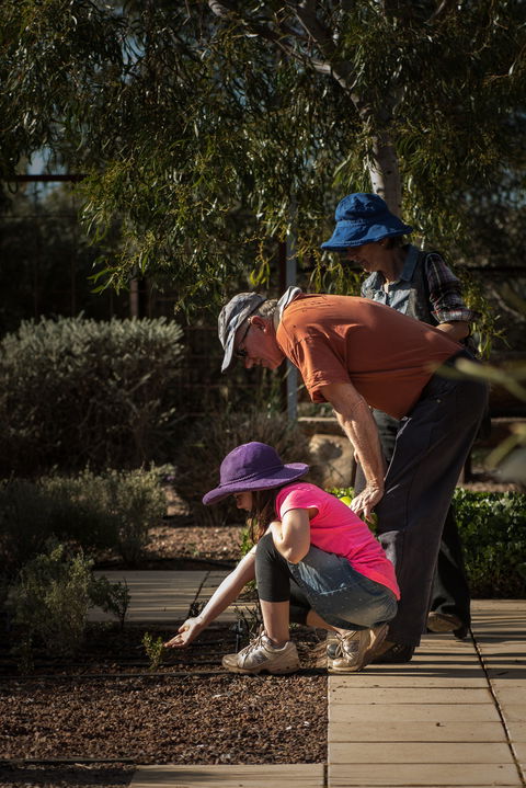 Australian Arid Lands Botanic Garden - Accommodation Port Macquarie 1
