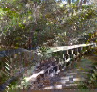 Awaba Bay Foreshore Walk - Accommodation Port Macquarie