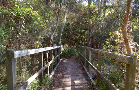 Awaba Bay Foreshore Walk - Accommodation Port Macquarie 0