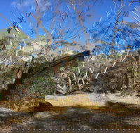 Bailey's Rocks - Dergholm State Park - Accommodation Port Macquarie