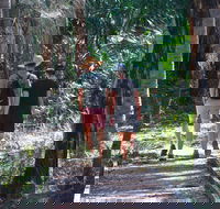 Banksia Track Burrum Coast National Park - Accommodation Port Macquarie