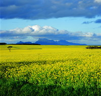 Borden - Accommodation Port Macquarie