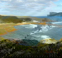 Bullimah Spur Track - Accommodation Port Macquarie