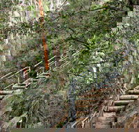 Caleys Lookout Track - Accommodation Port Macquarie