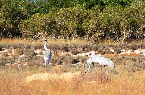 Cape Keraudren Nature Reserve - Accommodation Port Macquarie 0
