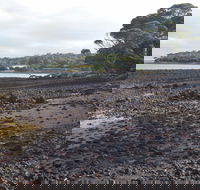 Churchill Island Marine National Park - Accommodation Port Macquarie