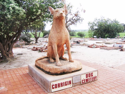 Corrigin Dog Cemetery - Accommodation Port Macquarie 0