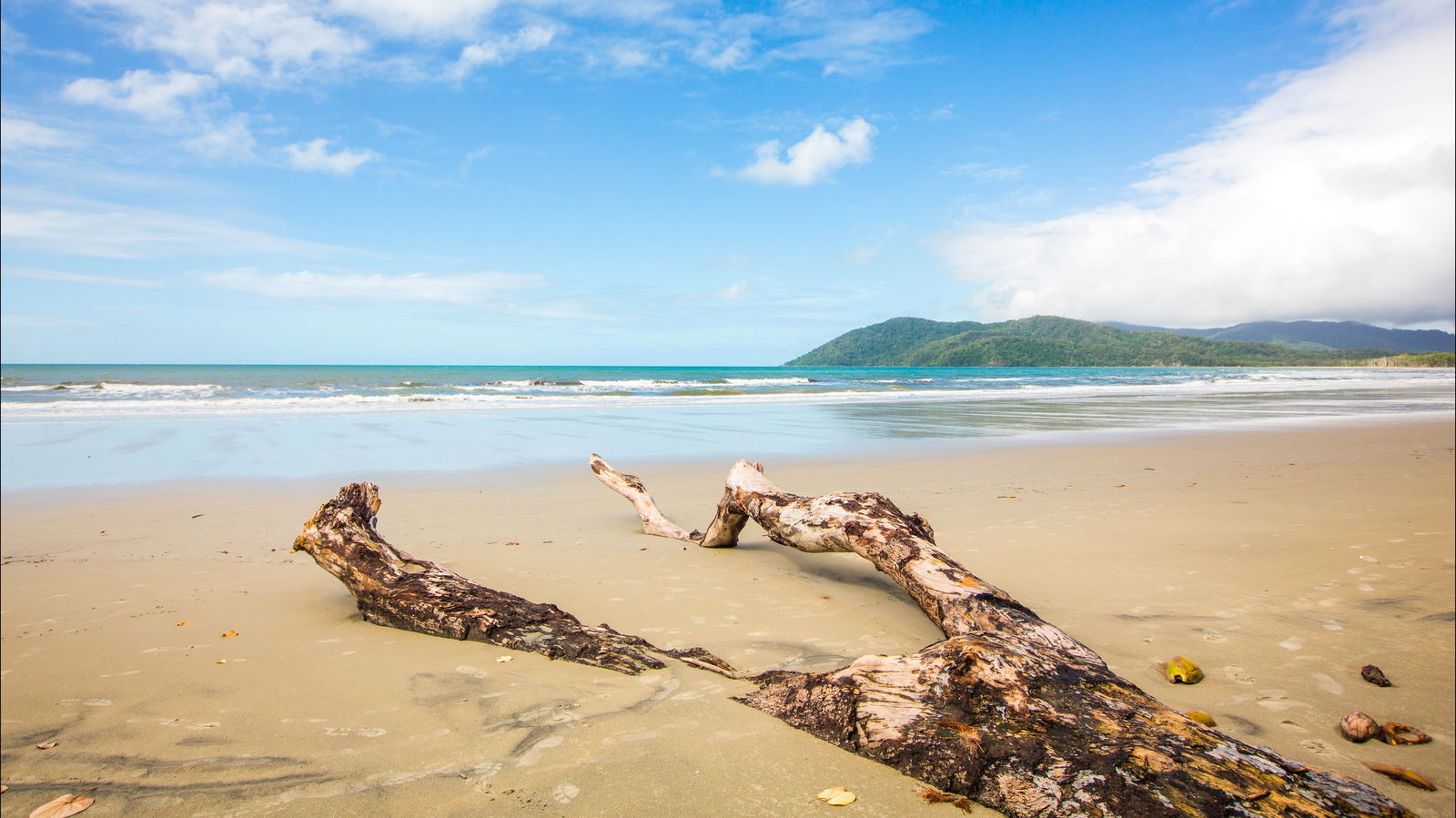 Cow Bay QLD Accommodation Port Macquarie