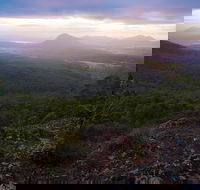 Cunninghams Gap and Spicers Gap Main Range National Park - Accommodation Port Macquarie