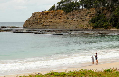 Depot Beach Picnic Area - Accommodation Port Macquarie 0
