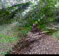 Double Wharf Trail - Accommodation Port Macquarie