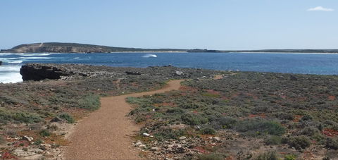 Elliston Coastal Trail - Accommodation Port Macquarie 0