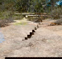 Finchley Cultural Walk - Accommodation Port Macquarie