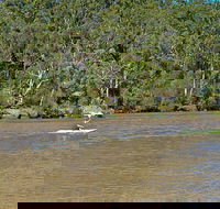 Fitzpatrick Park - Accommodation Port Macquarie