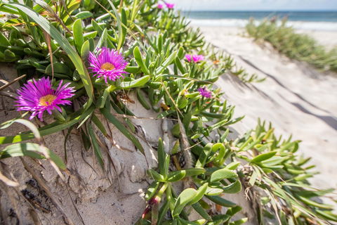 Fort Bribie - Accommodation Port Macquarie 0