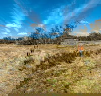 Goldseekers track - Accommodation Port Macquarie