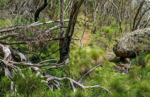 Hopetoun Falls Walking Track - Accommodation Port Macquarie 0