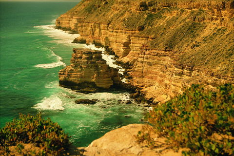 Island Rock And Natural Bridge - Accommodation Port Macquarie 0