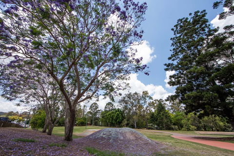 John Scott Park - Accommodation Port Macquarie 0