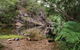 Jourama Falls, Paluma Range National Park - thumb 1