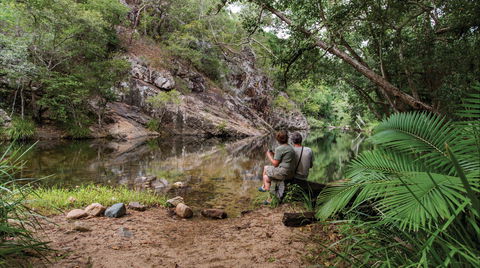 Jourama Falls, Paluma Range National Park - Accommodation Port Macquarie 1