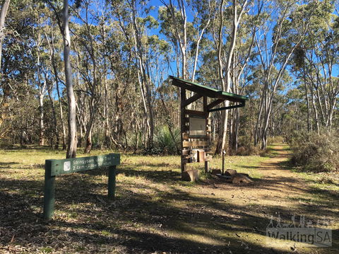 Kaiserstuhl Conservation Park - Accommodation Port Macquarie 0