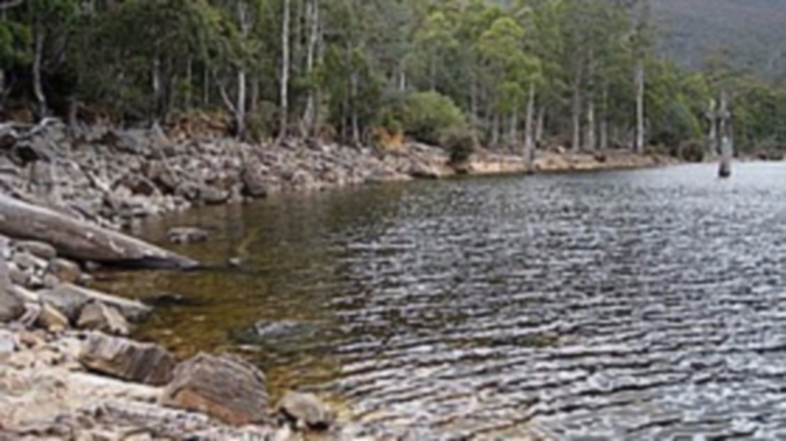 Liena TAS Accommodation Port Macquarie