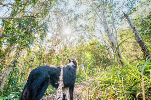 Lamb Island (Nguderoo) - Accommodation Port Macquarie 1