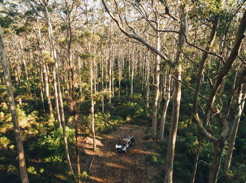 Leeuwin-Naturaliste National Park - Cowaramup - Accommodation Port Macquarie 0